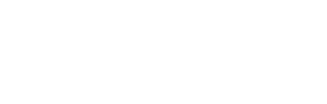 Flyon